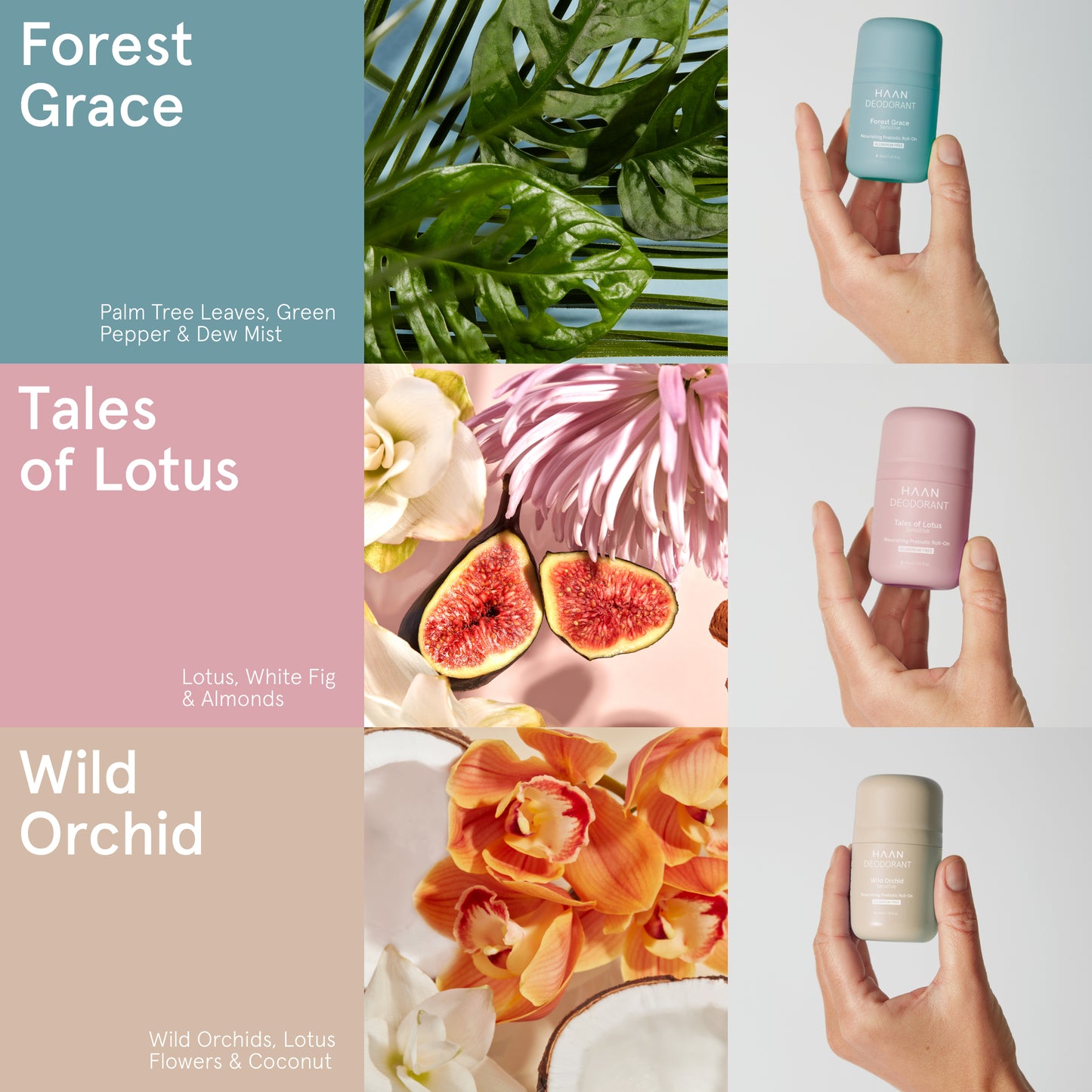 Deodorant Sensitive Refill Forest Grace